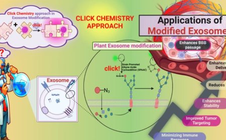An Innovative Approach to Cancer Treatment: Click-Modified Exosomes Pave the Way for Targeted, Personalized Therapy