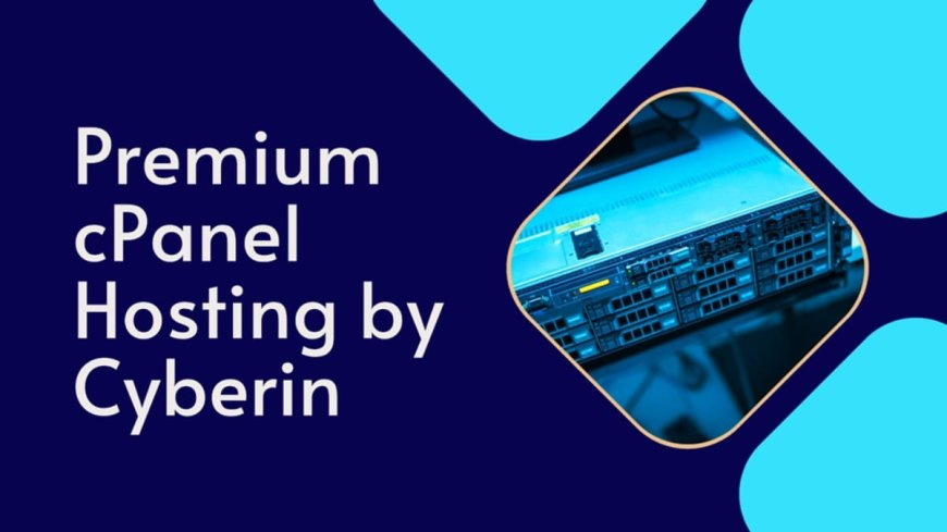 Cyberin Premium cPanel Hosting Is Smart Choice for Businesses in 2025