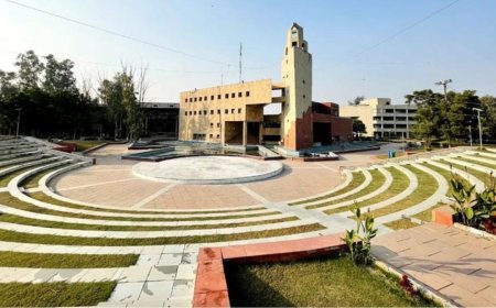 Delhi Technological University, TimesPro announce the inaugural Advanced Certificate Program in Artificial Intelligence